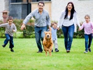 GotTurf LLC: GotTurf LLC