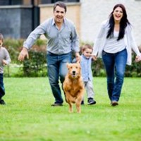 Портфолио Johnny Gray