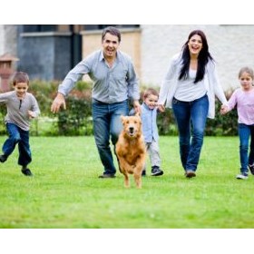 GotTurf LLC: GotTurf LLC